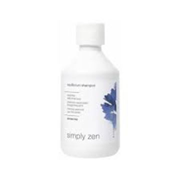 Picture of SIMPLY ZEN  EQUILIBRIUM SHAMPOO 250ML